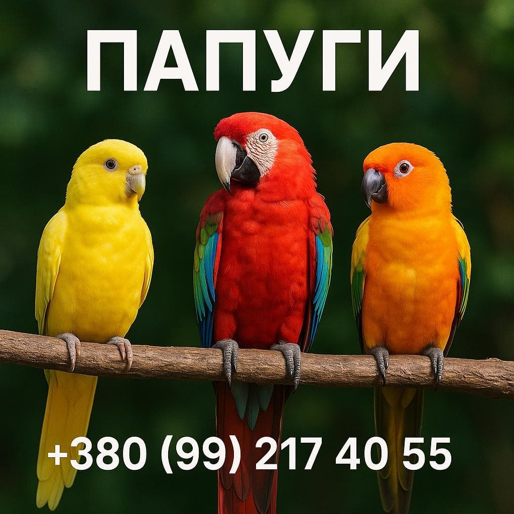 Три папуги на гілці